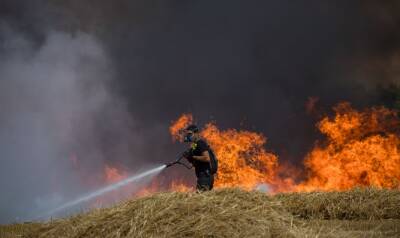 Восемь пожарных команд и два пожарных самолета работают над тушением пламени - 7kanal.co.il - Иерусалим - Над