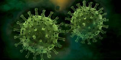 В Израиль прибыл новый и, возможно, более заразный штамм коронавируса - nep.co.il - Израиль - Англия - Молдавия