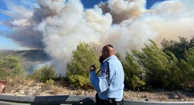 Сумасшедшая женщина-герострат сожгла 15 акров леса под Бейт-Шемешем - 9tv.co.il - Израиль - Иерусалим - Бейт