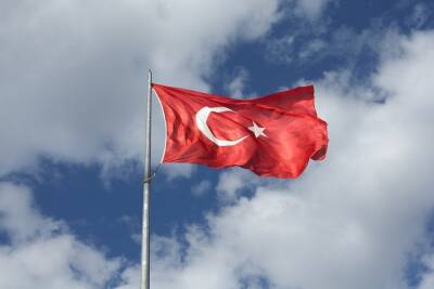 В Турции раскрыли созданную Израилем шпионскую сеть - mk.ru - Израиль - Турция