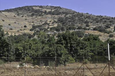 ЦАХАЛ пустил ливанцев в Израиль на сбор маслин - news.israelinfo.co.il - Израиль - Ливан