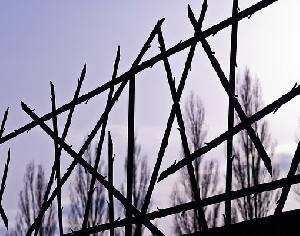 Можно ли даже думать о том, что Холокоста никогда не было? - isra.com