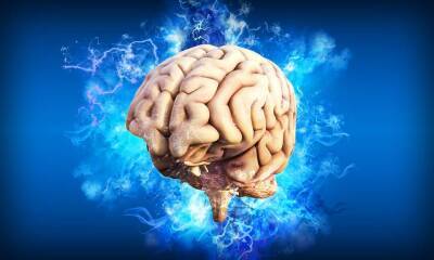В Технионе придумали новый метод лечения травм головного мозга - cursorinfo.co.il