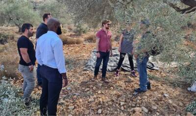 Гендиректор НПО «Раввины за права человека» объяснил, почему им так важно помогать палестинцам в сборе урожая - 7kanal.co.il - поселение Итамар