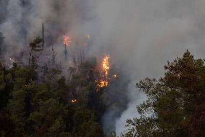 На севере Израиля и в Иерусалимских лесах бушуют сильные пожары - cursorinfo.co.il - Израиль - Иерусалим