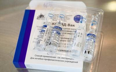 Израиль официально признал вакцину «Спутник V», но границы для привитых россиян пока не открыл - echo.msk.ru - Израиль - Россия - Пока