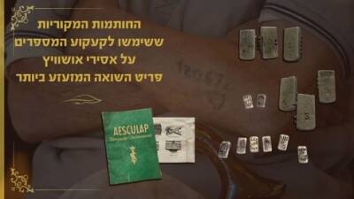 После скандала: набор игл из Освенцима снимают с аукционной продажи в Израиле - vesty.co.il - Израиль - Иерусалим - Из