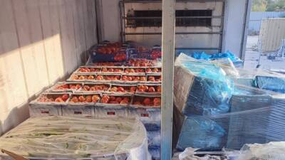 Видео: в Иерусалиме предотвращена контрабанда 19 тонн овощей из Газы - vesty.co.il - Израиль - Иерусалим - Газы - Видео - Из