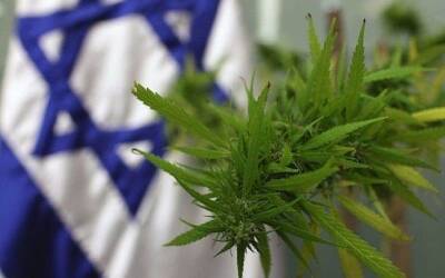 Опрос: большинство израильтян выступают за свободное употребление марихуаны - cursorinfo.co.il - Иерусалим