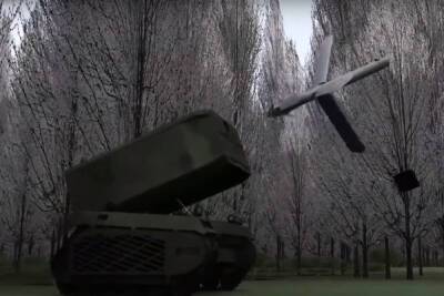 Израиль представил дрон-камикадзе, способный «взорвать» российский Т-90 - mk.ru - Израиль - Эмираты