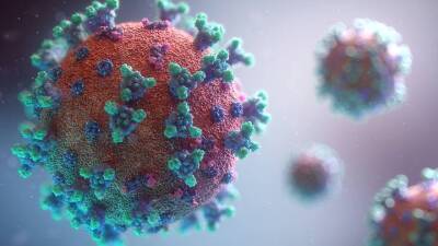 В Израиле зафиксировали новый штамм коронавируса - vm.ru - Израиль - Англия - Юар - Гонконг - Ботсвана - Малави