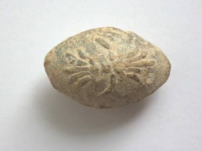 Трифон Диодот - Из Израиля - Археологи из Израиля нашли 2000-летний камень для боевой пращи - actualnews.org - Израиль - Из