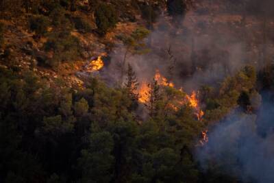 В Иерусалимском лесу вспыхнул пожар - cursorinfo.co.il - Иерусалим - Индия