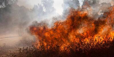 Из-за сухой погоды в Израиле запретили разжигать костры - detaly.co.il - Израиль - Из