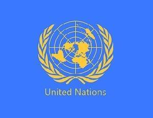 Террористов и хунту не пускают в ООН. Пока что - isra.com - Афганистан - Бирма - Пока