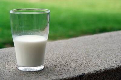 Израильский стартап собрал 13 миллионов долларов на производство искусственного молока - cursorinfo.co.il