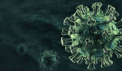 Два года без ответа - откуда пришел коронавирус? Приводим все версии - newizv.ru - Китай