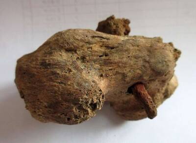 В Британии впервые обнаружен скелет со следами распятия - lenta.ua - Украина - Лондон - Англия - Римская Империя