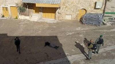 Теракт возле пещеры праотцов в Хевроне: один израильтянин ранен, нападавшая - 16-летняя арабка. ВИДЕО - 9tv.co.il - Израиль