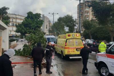 Давид Маген - Мужчина тяжело ранен в результате падения дерева в Нетании - news.israelinfo.co.il - Израиль
