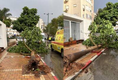 Непогода в Израиле: падающие деревья в Нетании и в Хайфе, гололед в Цфате, после обеда полило как из ведра - 9tv.co.il - Израиль - Из