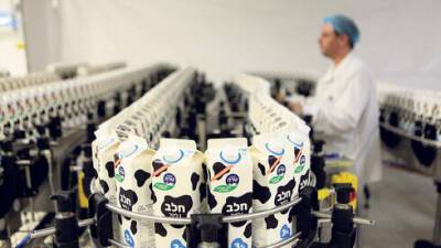 В Израиле повысят цены на молочные продукты: в чем причина - vesty.co.il - Израиль