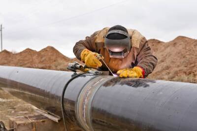 Министерство окружающей среды откладывает сделку по газопроводу Израиль – ОАЭ - cursorinfo.co.il - Израиль - Эмираты