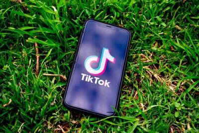 Идан Ролл - Звезды TikTok и Instagram станут послами Израиля в социальных сетях - cursorinfo.co.il - Израиль
