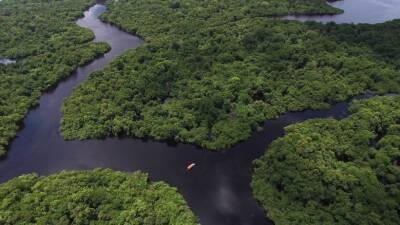 Ученые планируют следить за Амазонкой из космоса и мира - cursorinfo.co.il - Из