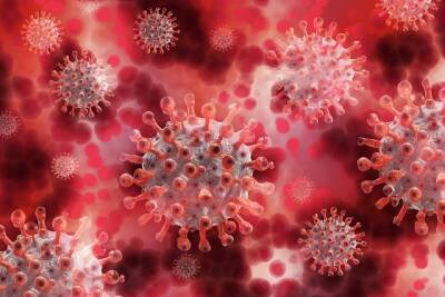 В Израиле наблюдается снижение числа тяжелых случаев коронавируса - cursorinfo.co.il - Израиль