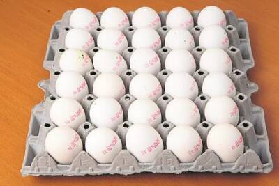 Житель Петах-Тиквы отдан под суд за спекуляцию яйцами во время локдауна - vesty.co.il - Израиль - Петы-Тиквы