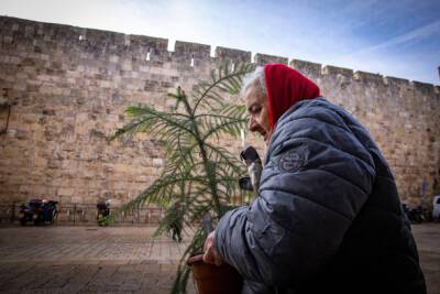 В Израиле увеличат выплаты пенсионерам, снимающим жилье - nashe.orbita.co.il - Израиль