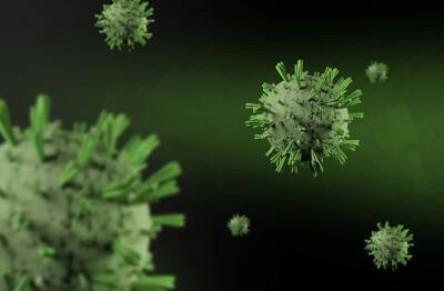 Ученые поделились важными данными о тех, кто болеет легкой формой коронавируса и мира - cursorinfo.co.il - Юар