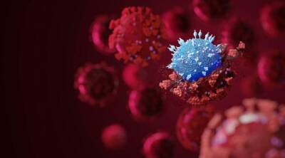 Эран Сегаль - Американское исследование: Омикрон создает иммунитет к другим штаммам - koronavirus.center - Израиль