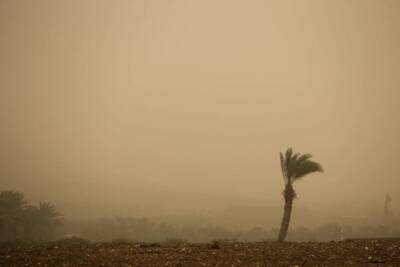 Пыльная буря в Израиле: прогнозируется сильное загрязнение воздуха - cursorinfo.co.il - Израиль
