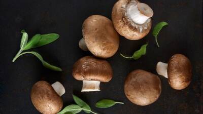 Готовим на Новый год: 5 вкусных и оригинальных рецептов с грибами - vesty.co.il - Израиль
