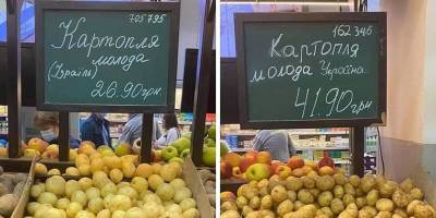 Из Израиля - На украинских рынках картофель из Израиля, где нет чернозема, оказался на 50% дешевле местного, фото - ТЕЛЕГРАФ - telegraf.com.ua - Израиль - Украина - Нет - Из