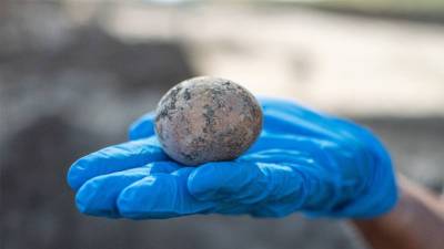 В Израиле нашли куриное яйцо возрастом около тысячи лет - newdaynews.ru - Израиль - Тель-Авив - Юар - Явне