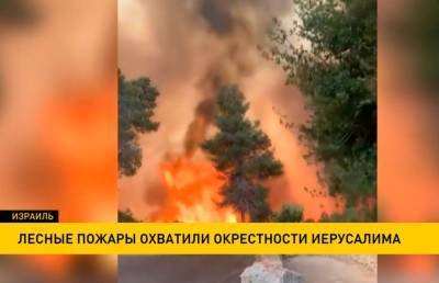 Лесные пожары охватили окрестности Иерусалима - ont.by - Израиль - Иерусалим - Белоруссия