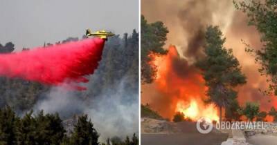 Лесной пожар в Израиле, Иерусалим: фото и видео - obozrevatel.com - Израиль - Иерусалим - поселение Ариэль - Видео