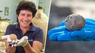 1000-летнее яйцо нашли в Израиле среди человеческих фекалий - gazeta.ru - Израиль - Тель-Авив - Явне