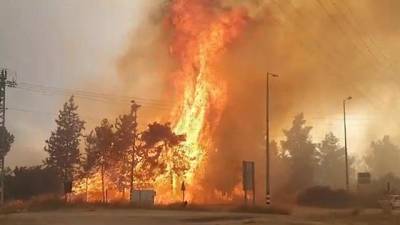 Илан Нев - Вблизи Иерусалима в Израиле вспыхнули масштабные пожары - vchaspik.ua - Израиль - Иерусалим - Украина - Южная Корея