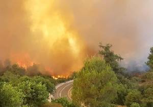 Пожар в Иерусалимских горах тушат с помощью самолетов - isra.com
