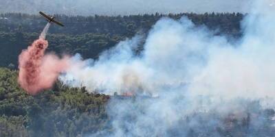 Итог иерусалимского пожара: сгорело 2650 дунам одного из старейших лесов Израиля - detaly.co.il - Израиль - Из