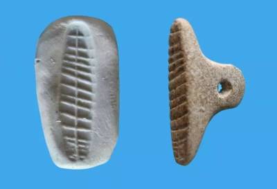 В Израиле нашли пломбу-печать 7000-летней давности - lenta.ua - Израиль - Украина - Jerusalem