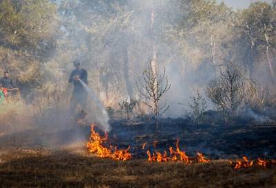 Офер Либерман - В Израиле вспыхнули пожары после запущенных ракет из сектора Газа - unn.com.ua - Израиль - Иерусалим - Украина - Киев - Газа - Из