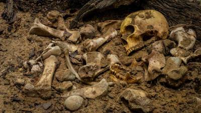 Народ Нешер Рамла: в Израиле нашли останки неизвестного вида древних людей - mir24.tv - Израиль - Тель-Авив