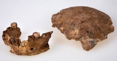 Имеет черты двух видов. Ученые обнаружили в Израиле окаменелые останки странного неандертальца - focus.ua - Израиль - Украина