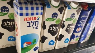 С 1 июля в Израиле подорожает молоко на фермах: что ждет покупателей - vesty.co.il - Израиль
