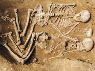 Останки неизвестного науке вида людей откопали в Израиле - rosbalt.ru - Израиль